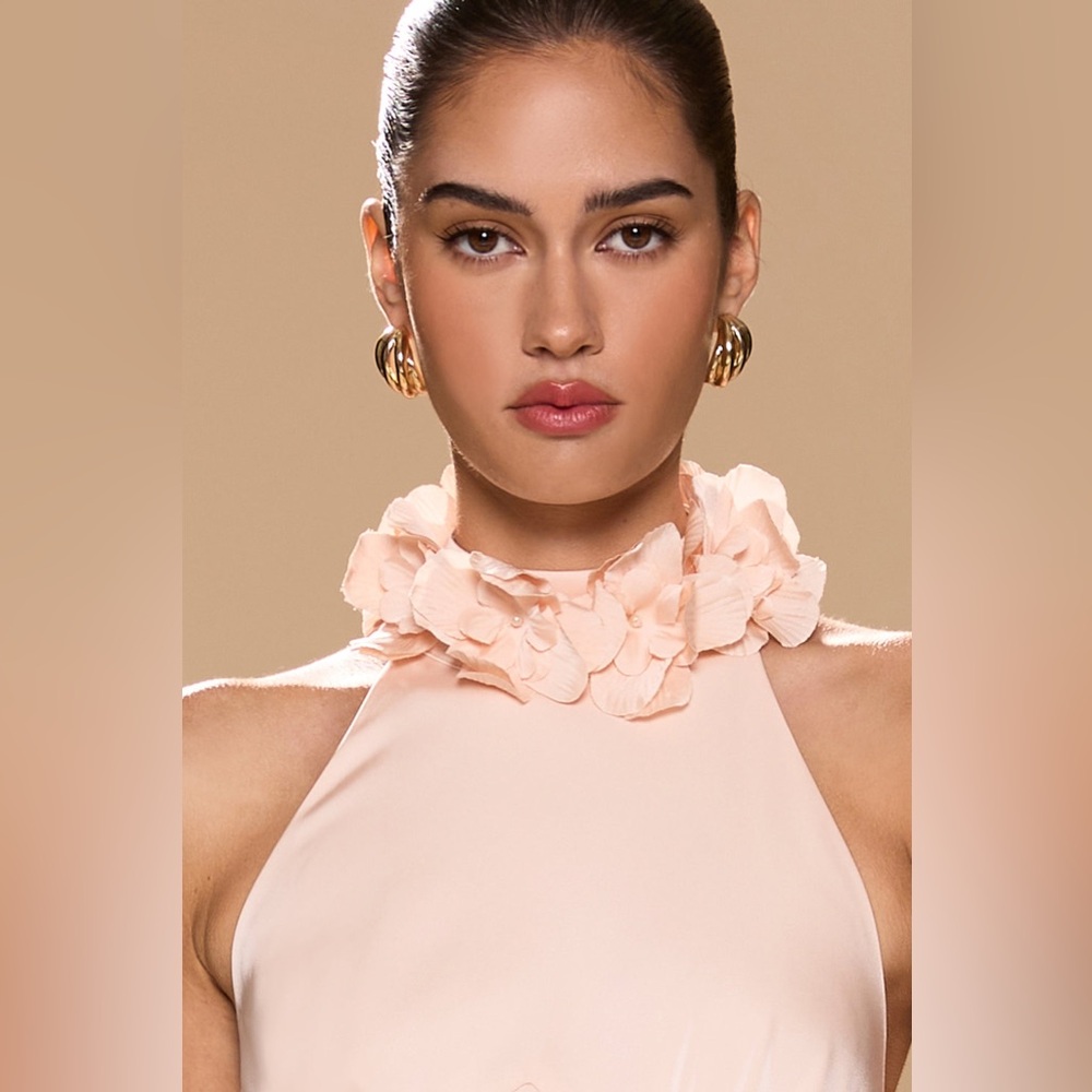 Sonya Moda Noelle gown Maxi Dress in Rose Wedding Guest Cocktail size S NWT - Picture 5 of 10